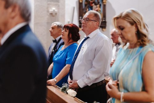 VT-0330